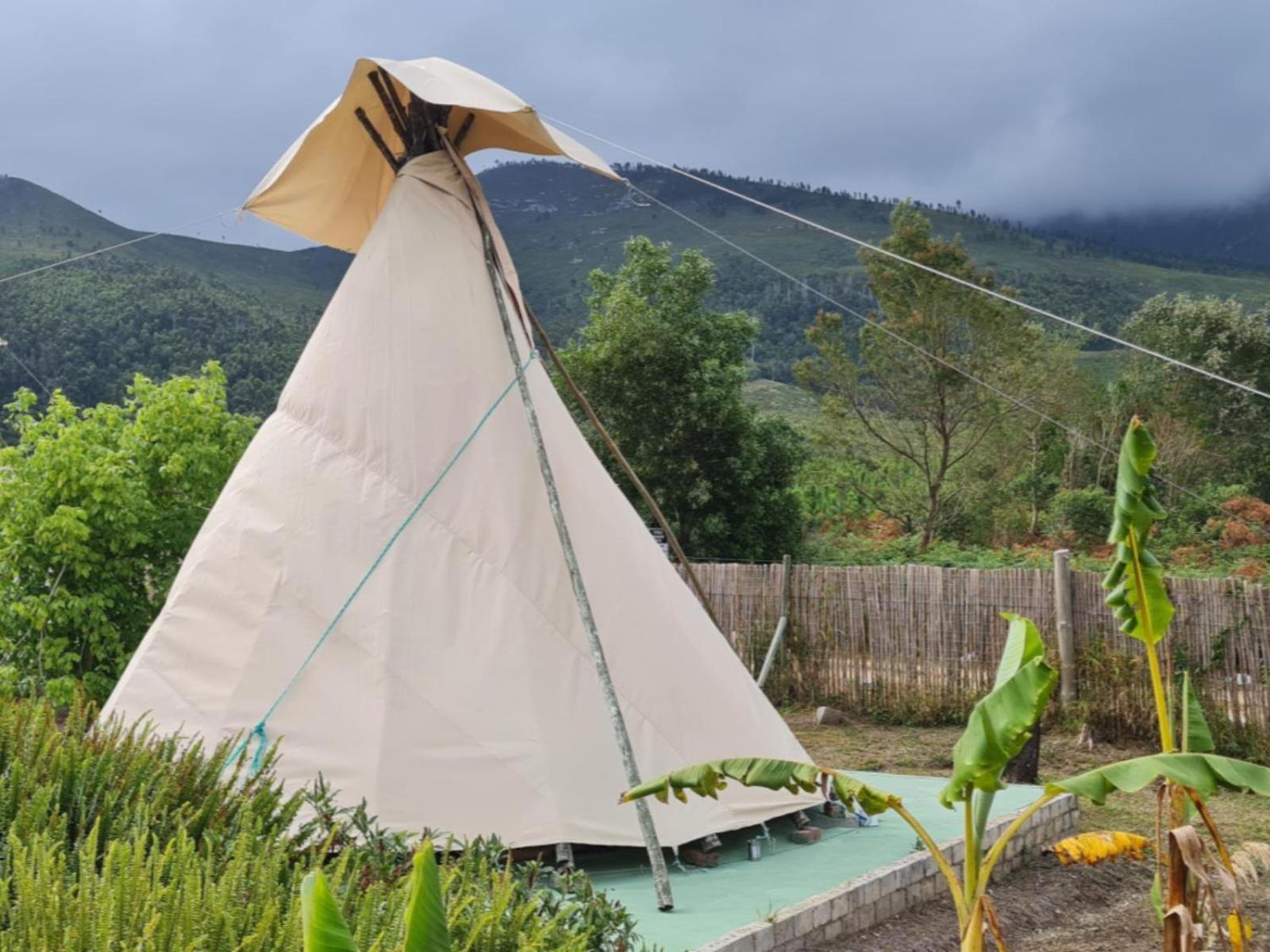 Tsitsikamma Wolf Sanctuary Eco Cabins & Teepees Stormsrivier Kültér fotó