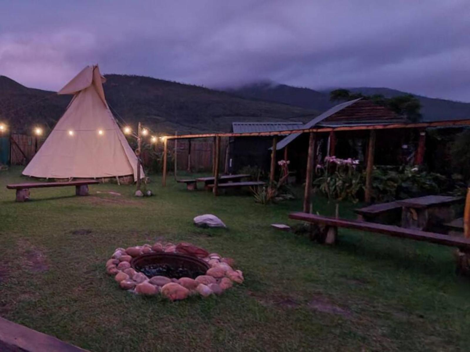 Tsitsikamma Wolf Sanctuary Eco Cabins & Teepees Stormsrivier Kültér fotó