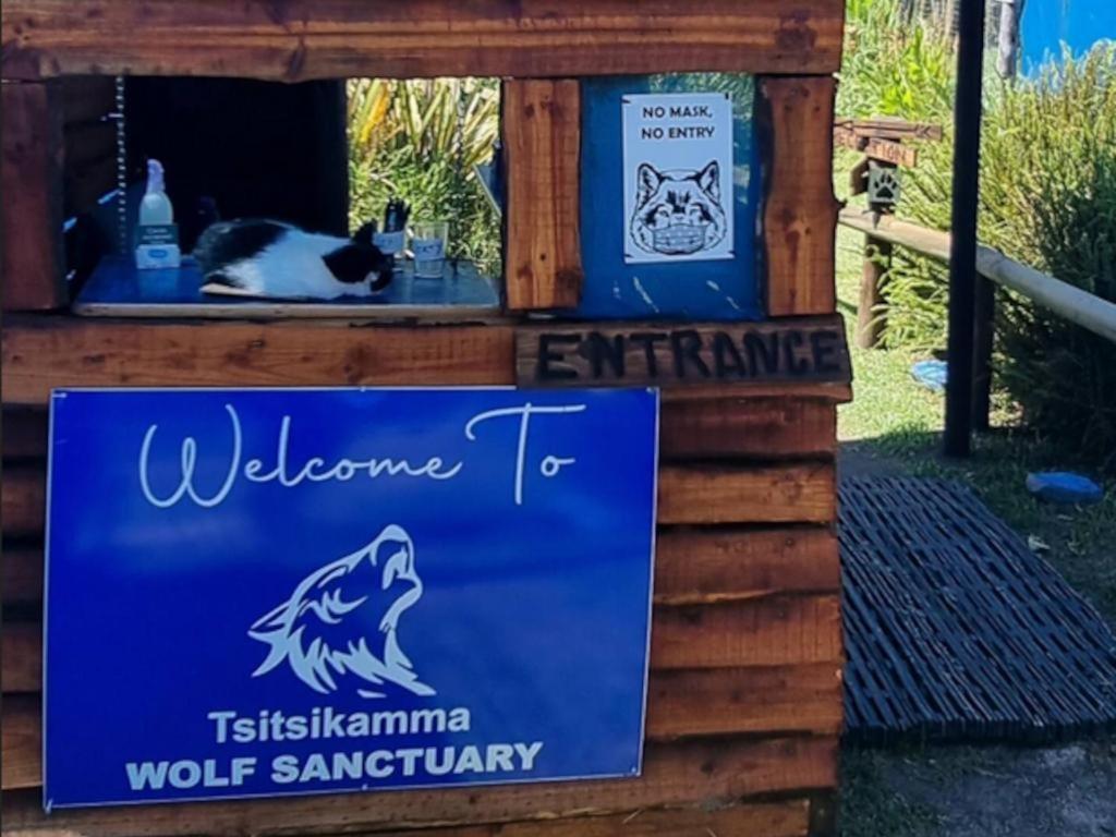 Tsitsikamma Wolf Sanctuary Eco Cabins & Teepees Stormsrivier Kültér fotó