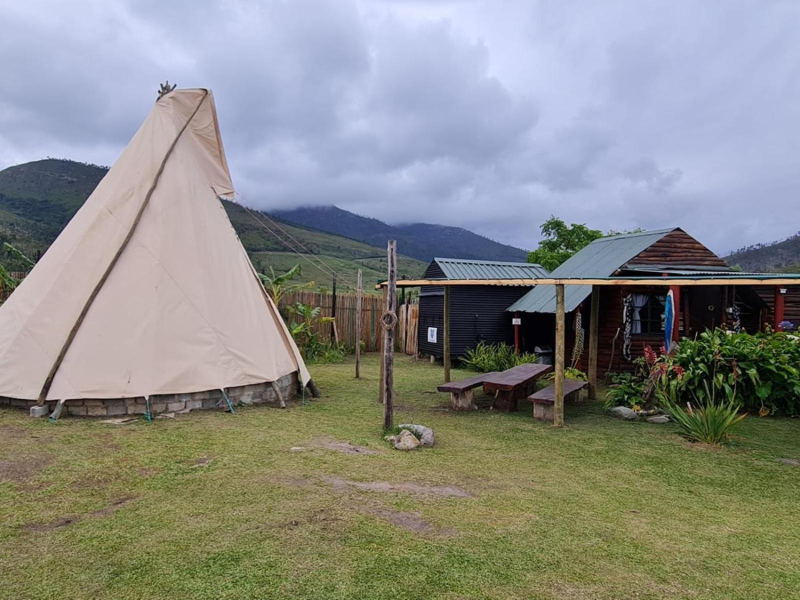 Tsitsikamma Wolf Sanctuary Eco Cabins & Teepees Stormsrivier Kültér fotó