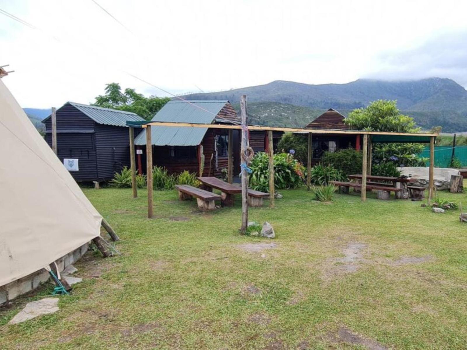 Tsitsikamma Wolf Sanctuary Eco Cabins & Teepees Stormsrivier Kültér fotó