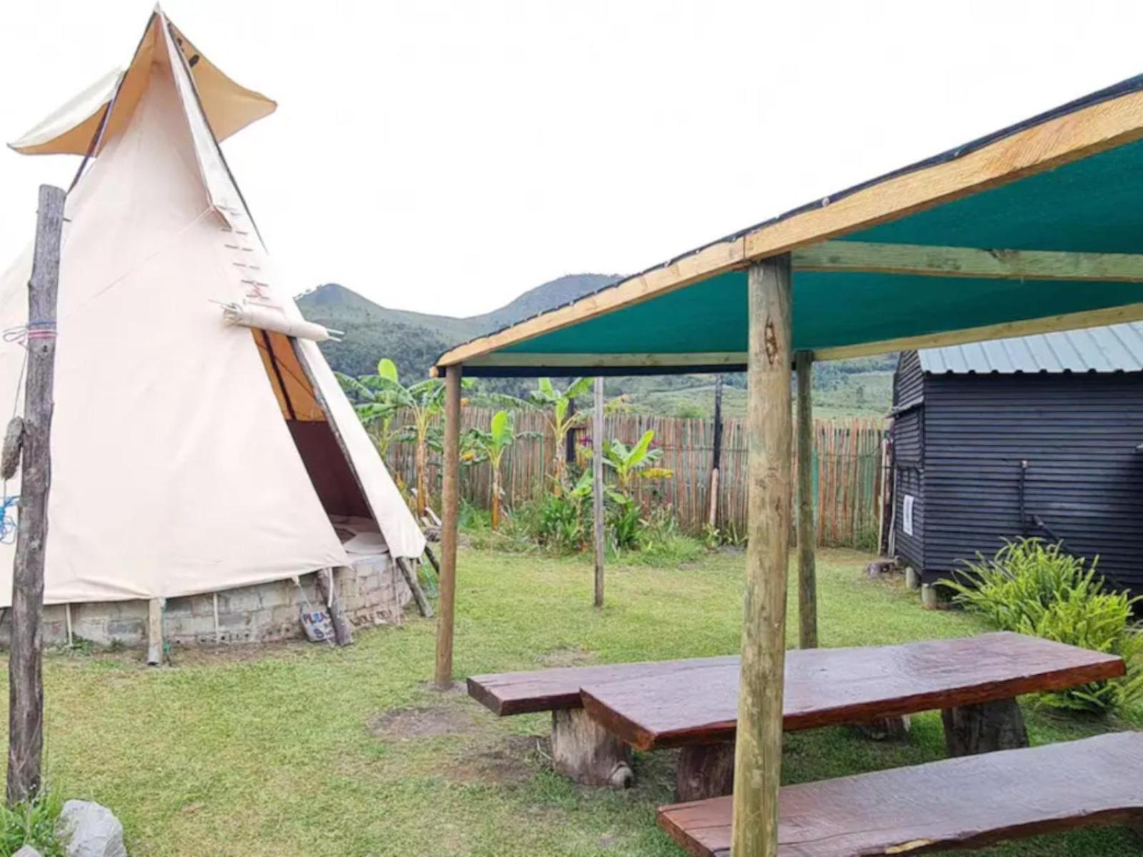 Tsitsikamma Wolf Sanctuary Eco Cabins & Teepees Stormsrivier Kültér fotó
