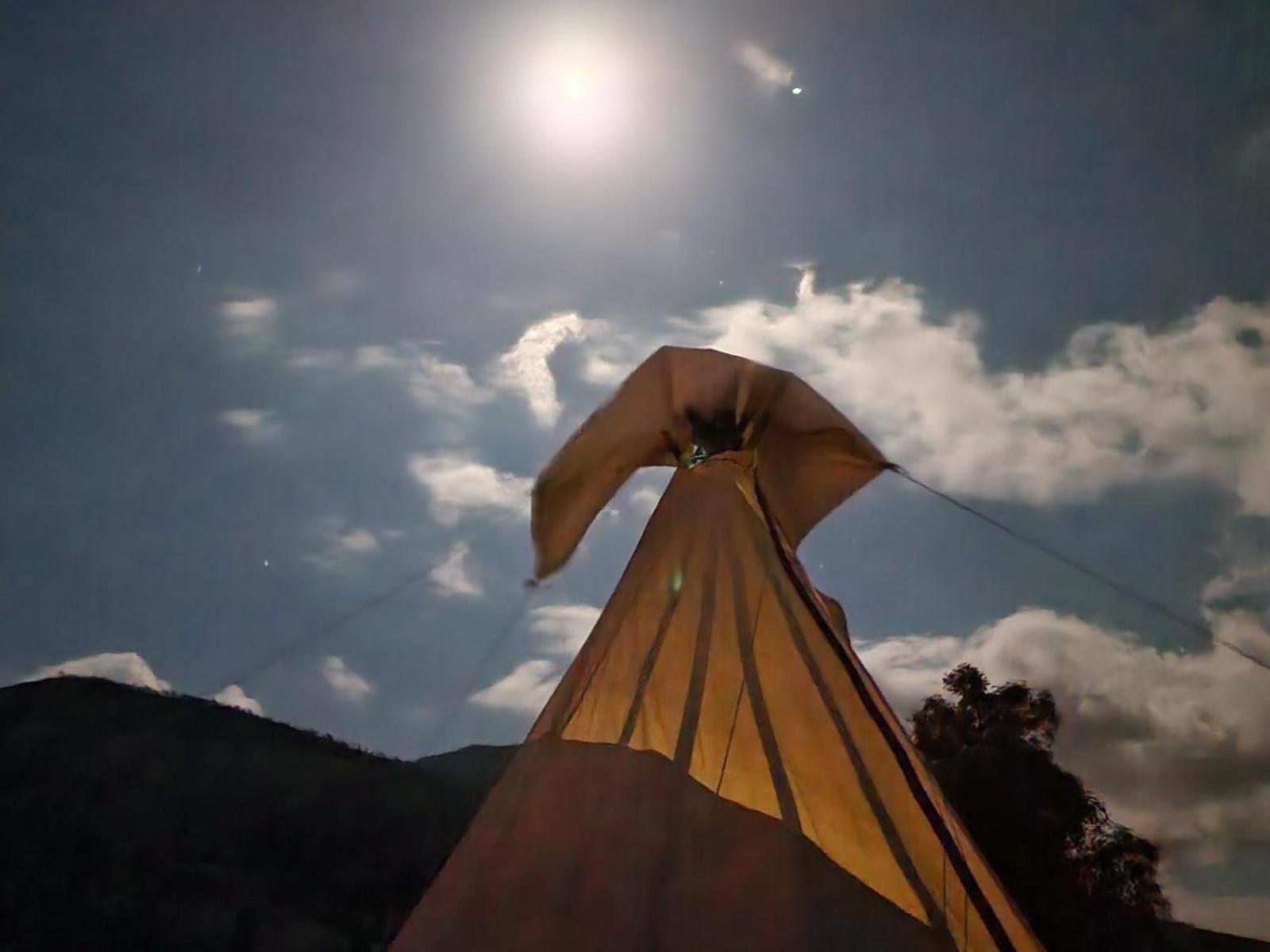 Tsitsikamma Wolf Sanctuary Eco Cabins & Teepees Stormsrivier Szoba fotó