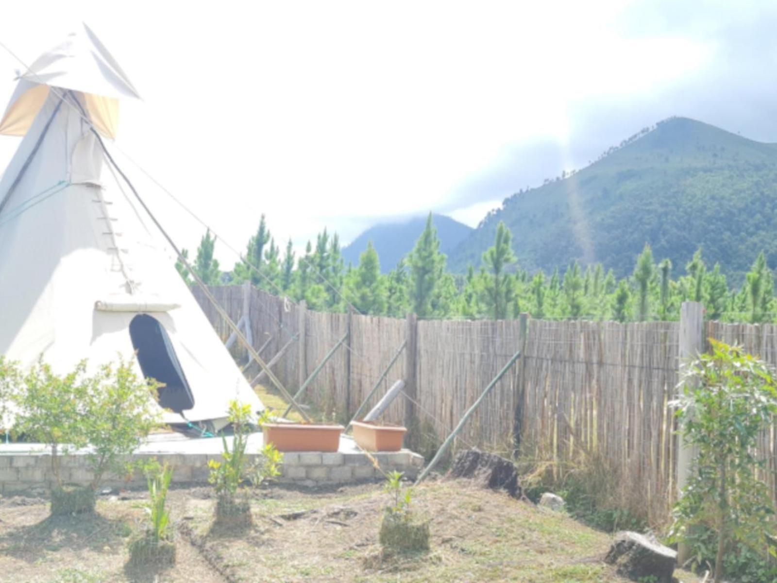 Tsitsikamma Wolf Sanctuary Eco Cabins & Teepees Stormsrivier Szoba fotó